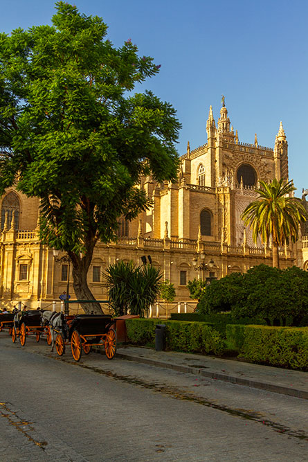 Sevilla Kathedrale Sonnenuntergang, Sevilla cathedral sunset