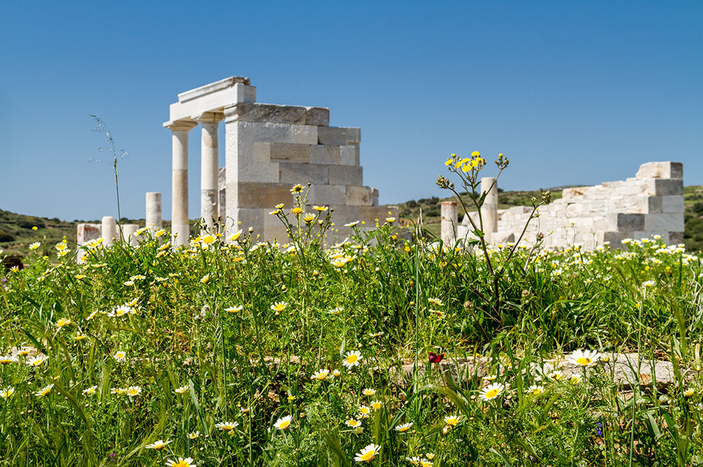 Demeter Tempel üppige bunte Blumenwiese - Demeter Temple and lush colorful flower meadow
